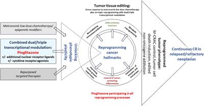 Peroxisome proliferator-activated receptorα/γ agonist pioglitazone for rescuing relapsed or refractory neoplasias by unlocking phenotypic plasticity